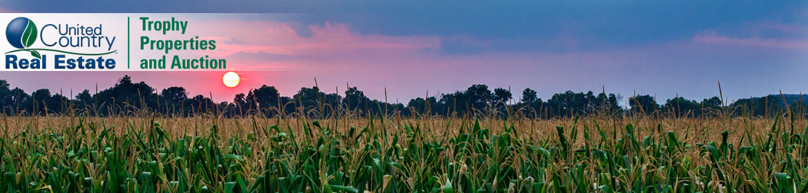 Iowa Crop Land For Sale
